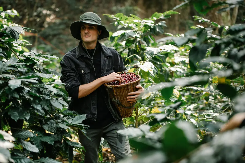 Colombia Huila