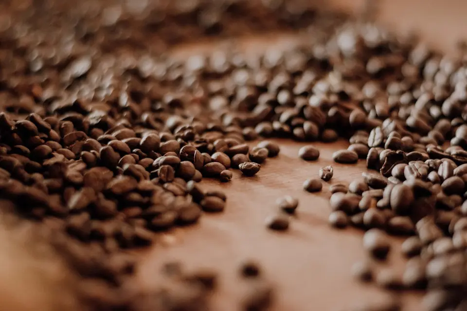Café recién tostado
